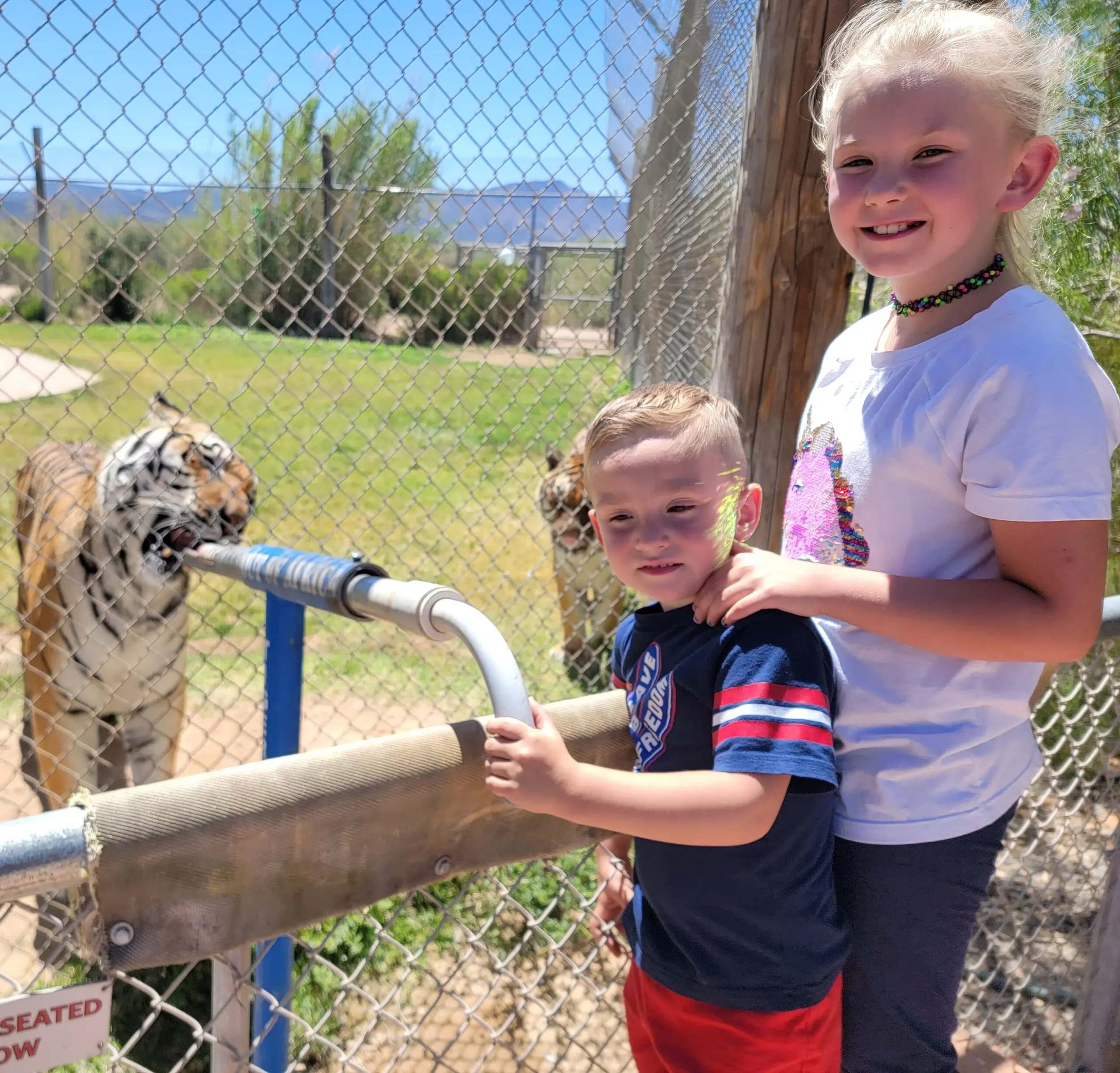 Kids viewing a tiger at Out of Africa Wildlife Park