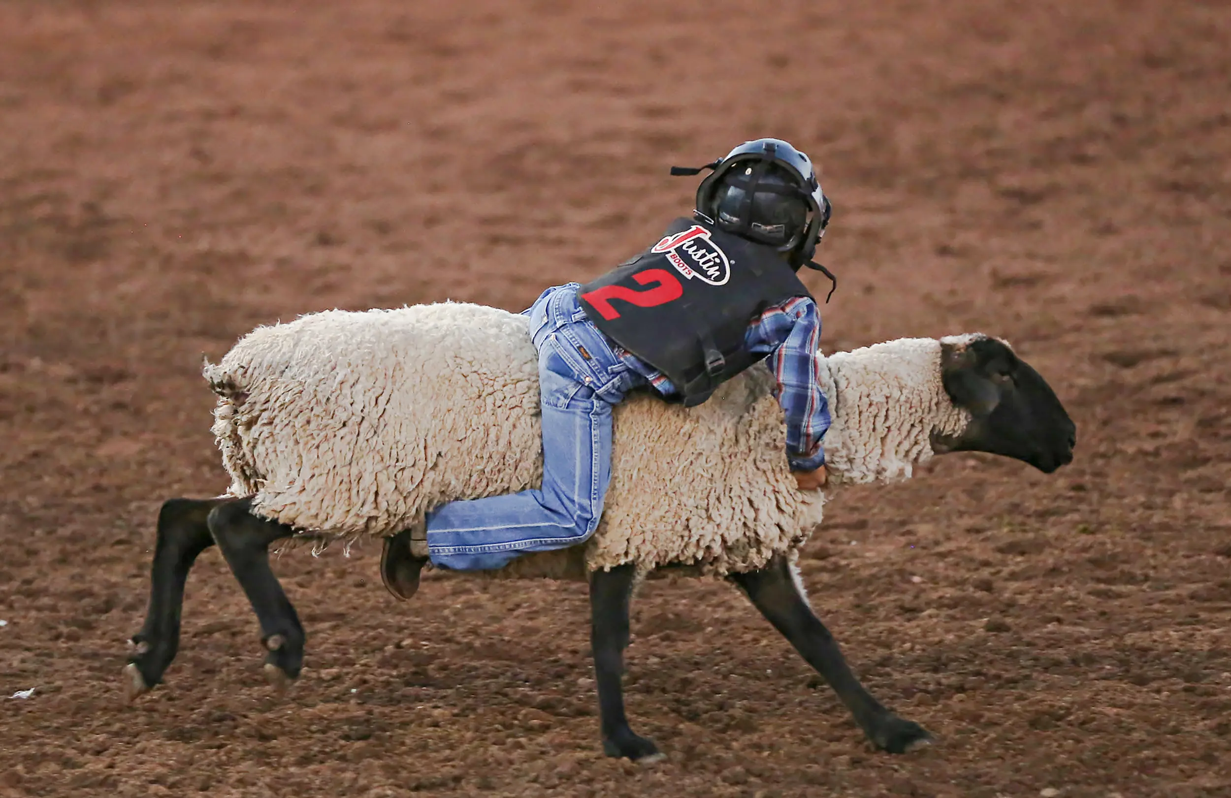 Payson Arizona, home of the world's oldest continuous rodeo